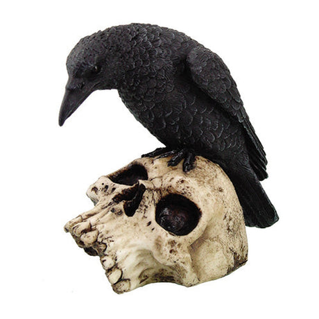 5" Raven on Skull Statue - Magick Magick.com