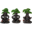 5.5" Greenman Statue Set - See, Hear, Speak No Evil (Set of 3) - Magick Magick.com