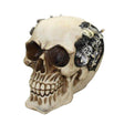 5.5" Steampunk Opening Skull Statue - Magick Magick.com