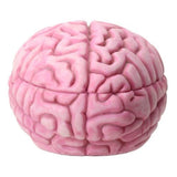 5.75" Zombie Brain Box - Magick Magick.com