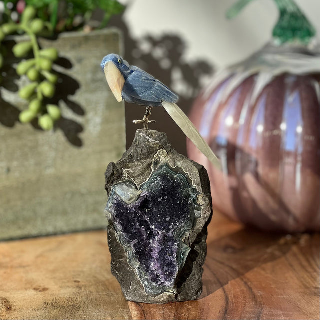 6" Blue Aventurine & Yellow Calcite Carved Bird on Amethyst Geode from Brazil - Magick Magick.com