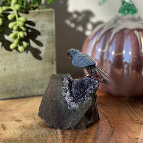 6" Jasper & Blue Aventurine Carved Bird on Amethyst Geode from Brazil - Magick Magick.com