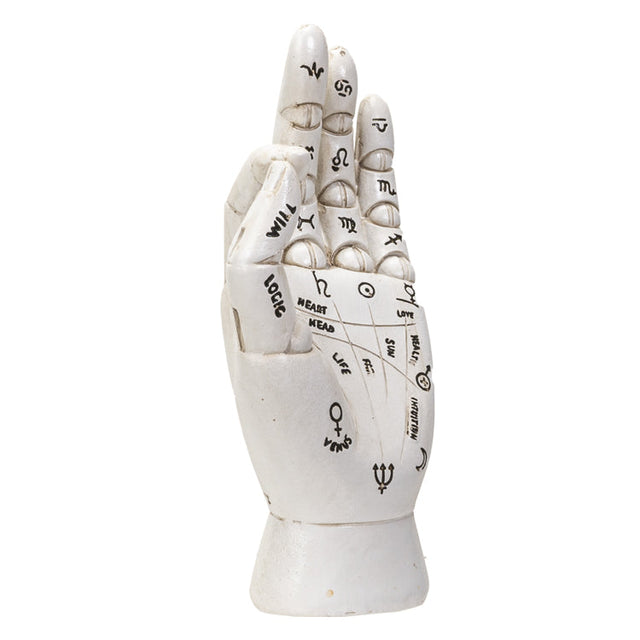 6" Palmistry Hand Statue - Magick Magick.com