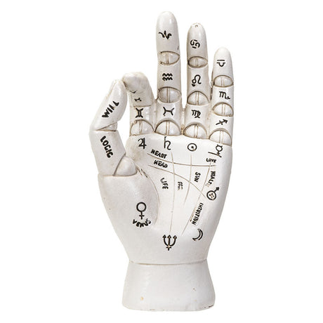 6" Palmistry Hand Statue - Magick Magick.com