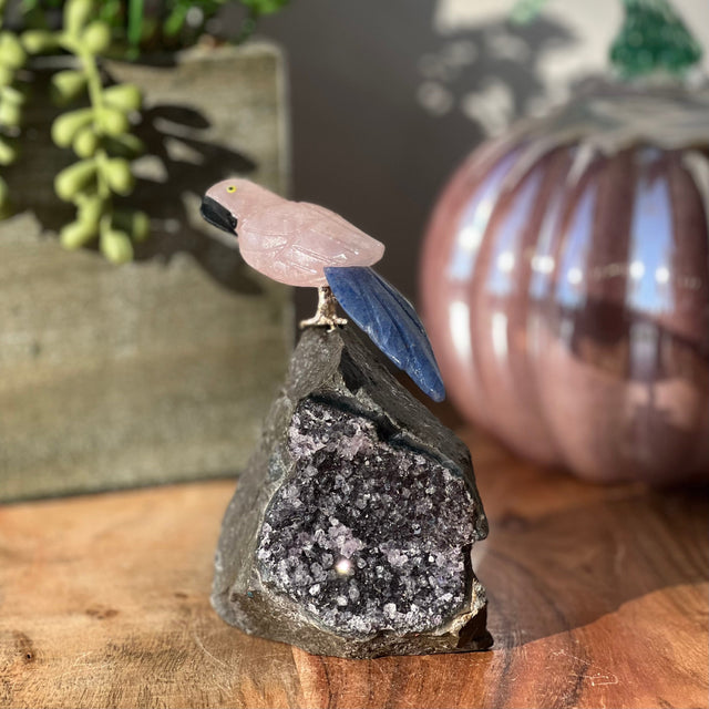 6" Rose Quartz & Blue Aventurine Carved Bird on Amethyst Geode from Brazil - Magick Magick.com