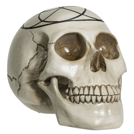 6.25" Sacred Geometry Skull - Seed of Life - Magick Magick.com