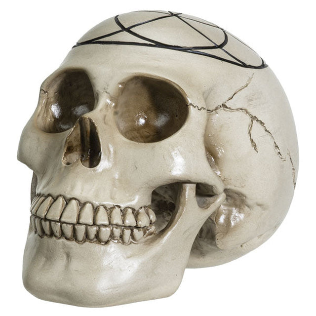 6.25" Sacred Geometry Skull - Seed of Life - Magick Magick.com