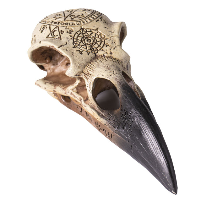 6.5" Omega Raven Skull - Magick Magick.com