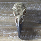 6.5" Omega Raven Skull - Magick Magick.com