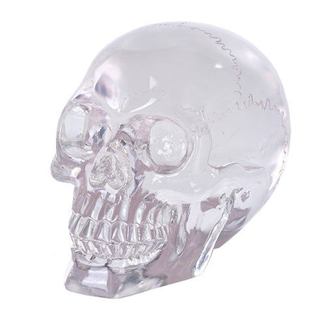 6.5" Translucent Crystal Skull - Magick Magick.com