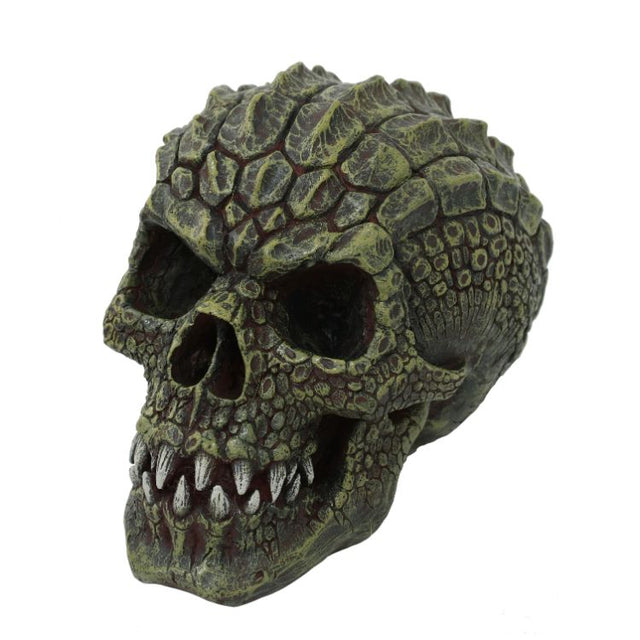 7" Gatorhead Skull Statue - Magick Magick.com