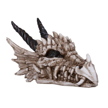 7.5" Natural Dragon Skull Statue - Magick Magick.com