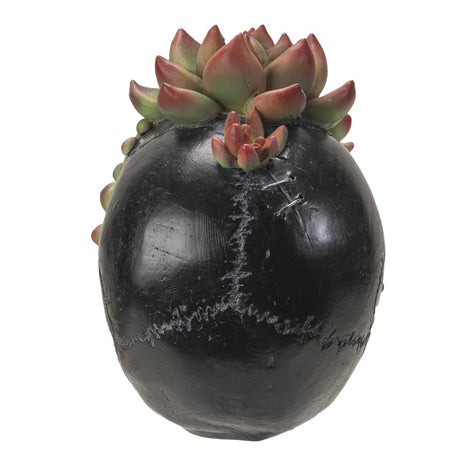 7.8" Black Skull with Succulents Statue - Magick Magick.com