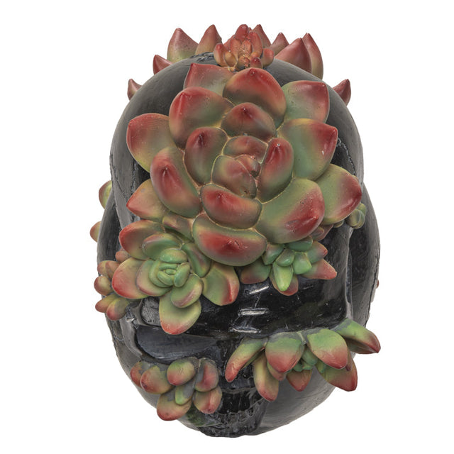 7.8" Black Skull with Succulents Statue - Magick Magick.com