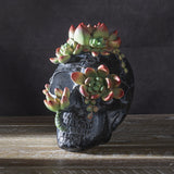 7.8" Black Skull with Succulents Statue - Magick Magick.com