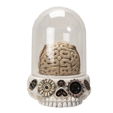 8" Skull with Brains Statue (LED Light Up) - Magick Magick.com