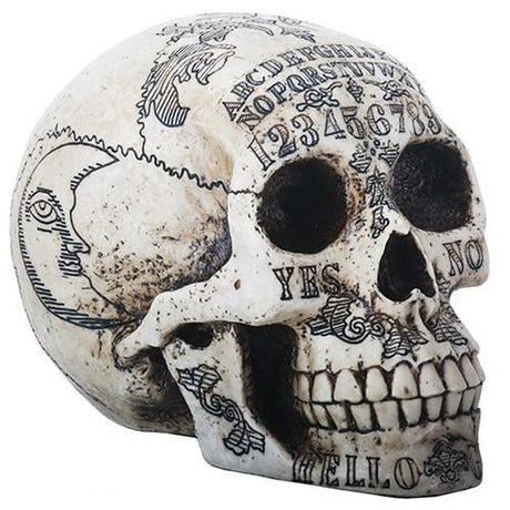 8.5" Resin Ouija Skull - Bone White - Magick Magick.com