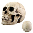 9" Money Bank - Skull - Magick Magick.com