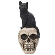 9.25" Skeleton Statue - Black Cat on Skull - Magick Magick.com