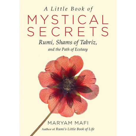 A Little Book of Mystical Secrets by Maryam Mafi - Magick Magick.com