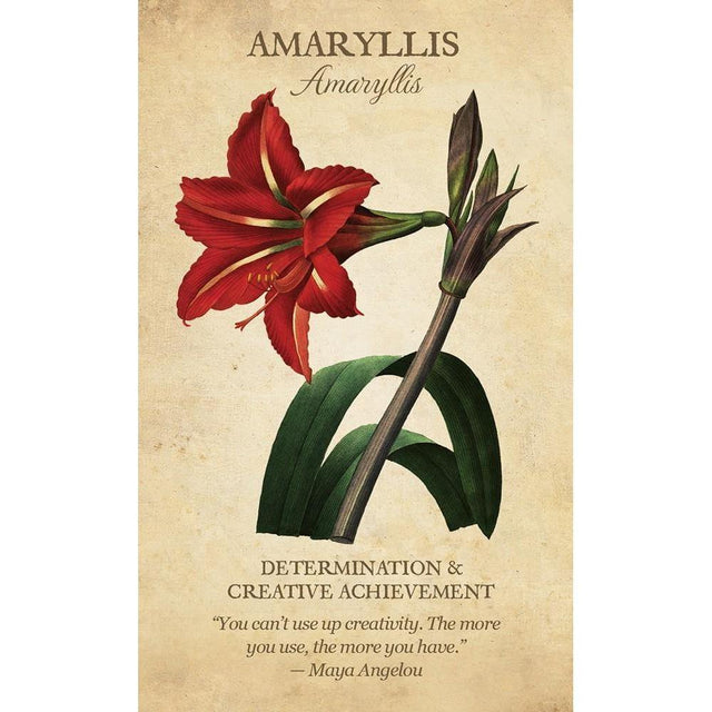 Botanical Inspirations Deck & Book Set by Lynn Araujo - Magick Magick.com