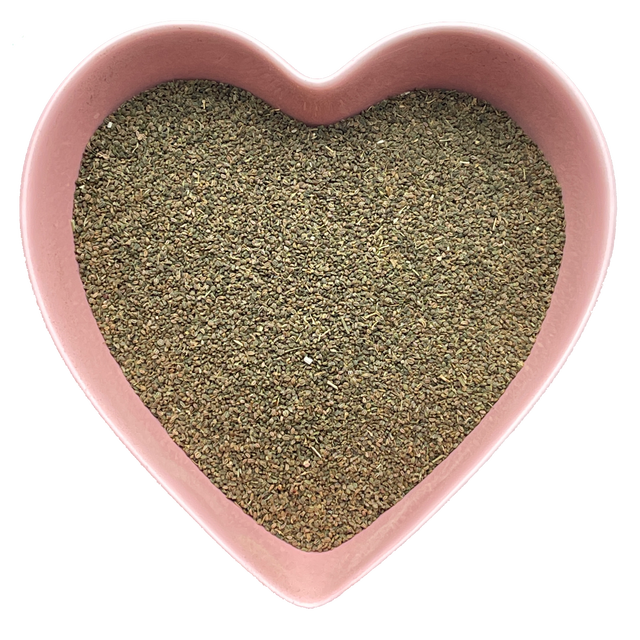 Celery Seed Whole 1 oz (Apium graveolens) - Magick Magick.com