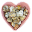 Conglomerate Jasper Tumbled Stone Natural Gemstone - One Stone - Magick Magick.com