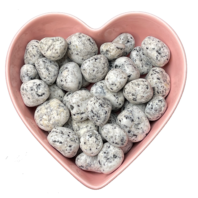 Dalmatian Tumbled Stone Natural Gemstone - One Stone - Magick Magick.com