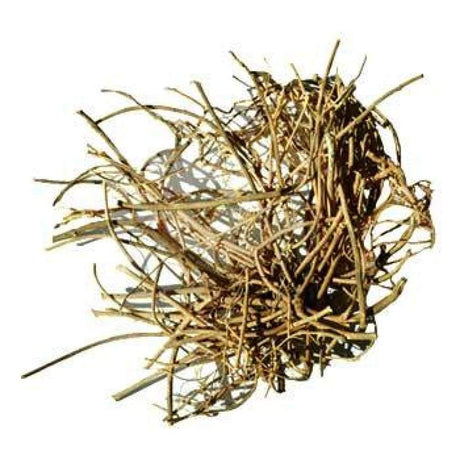 Devil's Shoestring Root 1 lb (Tephrosia Virginiana) - Magick Magick.com