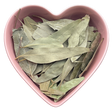 Eucalyptus Leaf Whole 1 oz (Eucalyptus Globulus) - Magick Magick.com