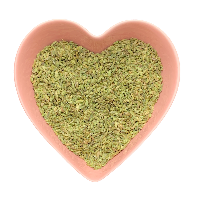 Fennel Seed Whole 1 lb (Foeniculum Vulgare) - Magick Magick.com