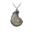 Fibonacci's Golden Spiral Pendant - Magick Magick.com