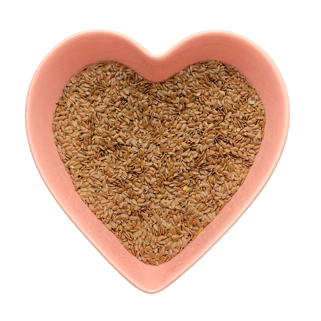 Flax Seed 1 oz (Linum Usitatissimum) - Magick Magick.com