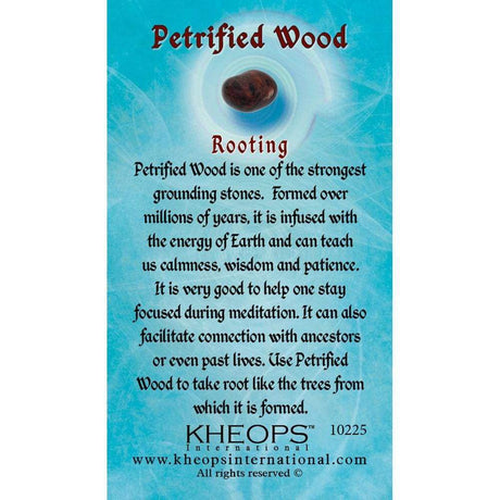 Gemstone Properties Info Card - Petrified Wood - Magick Magick.com