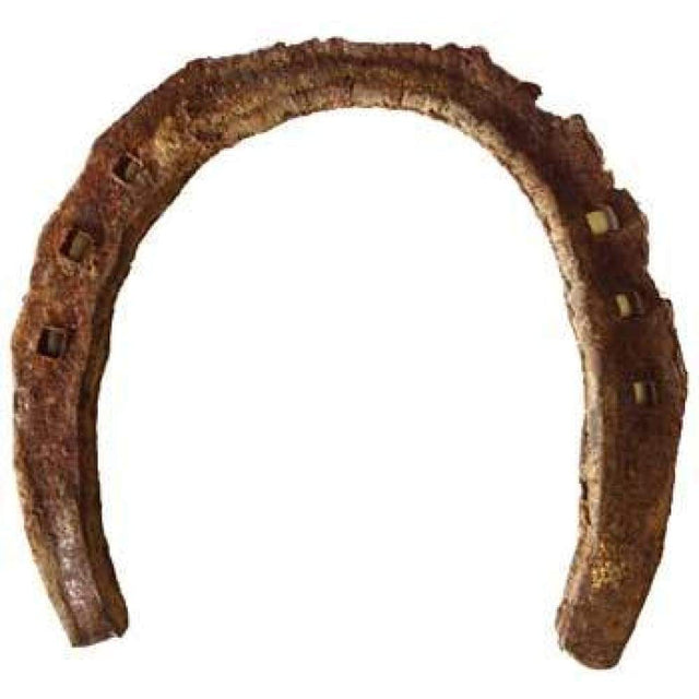 Genuine Horseshoe - Magick Magick.com