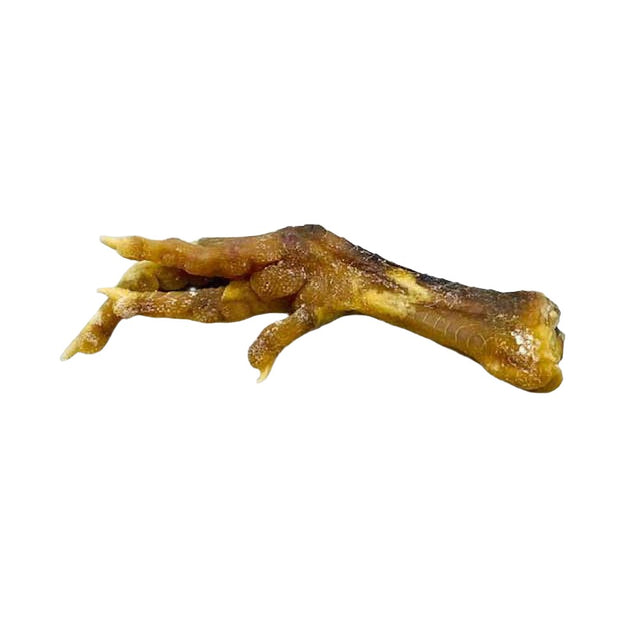 Genuine Voodoo Chicken Foot - Magick Magick.com