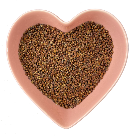 Guinea Pepper-Grains of Paradise 1/2 lb (Afromomum melegueta) - Magick Magick.com