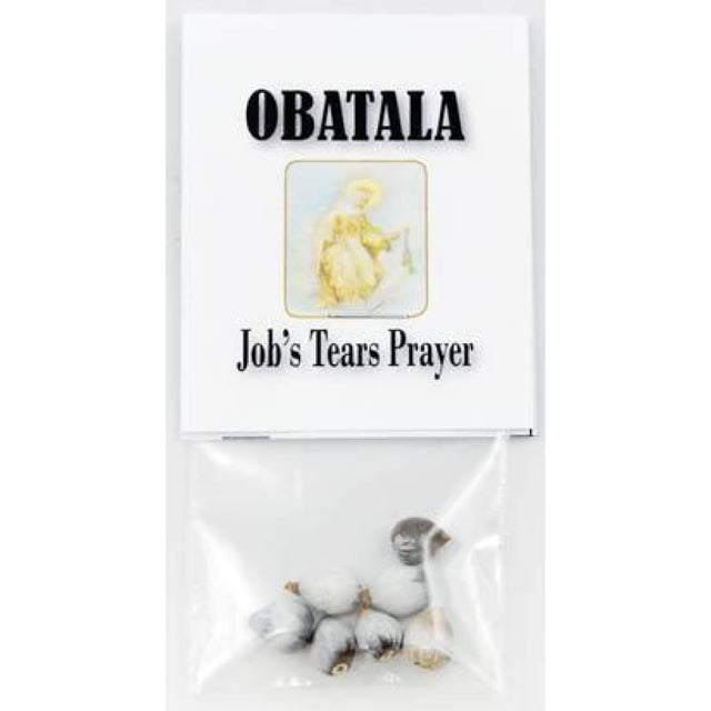 Job's Tears (Seeds) - Magick Magick.com