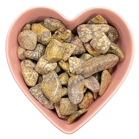 Leopard Skin Jasper Tumbled Stone Natural Gemstone - One Stone - Magick Magick.com