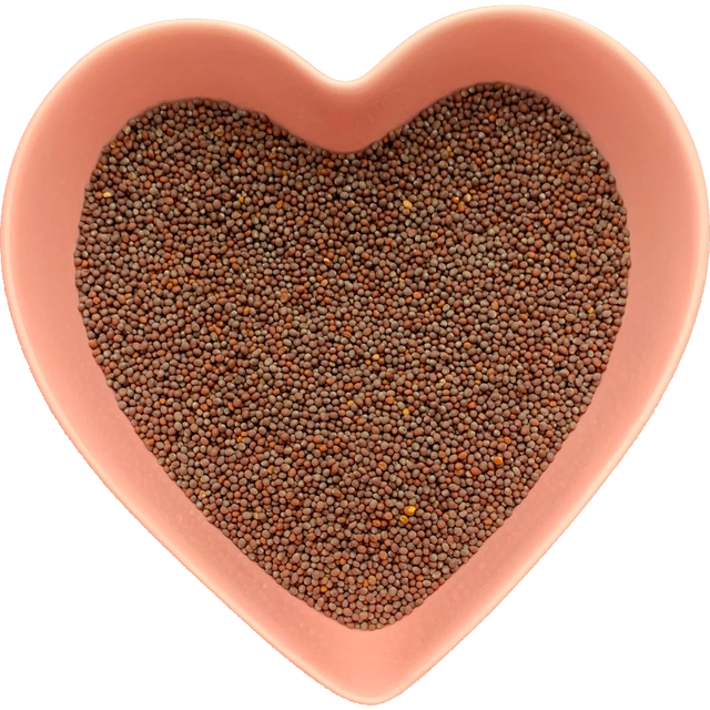 Mustard Seed Whole Brown 1 oz (Brassica nigra) - Magick Magick.com