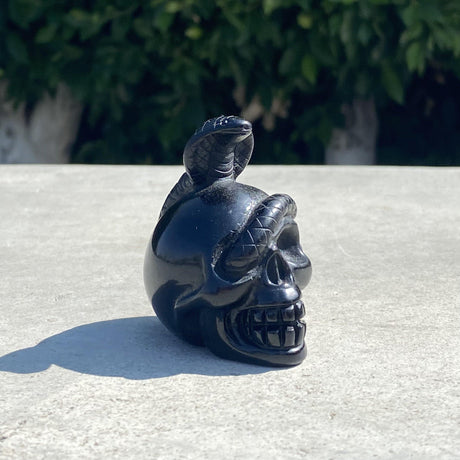 Natural Black Obsidian Hand Carved Skull with Snake - .24 lbs (2.5 x 1.5 x 2.5 inches) - Magick Magick.com
