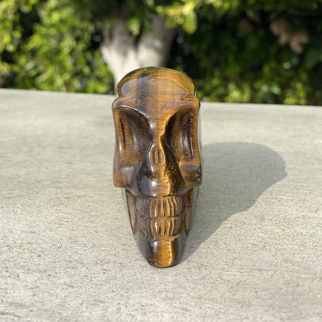 Natural Elongated Tiger's Eye Skull - 1.04 lbs (5 x 1.5 x 2.75 inches) - Magick Magick.com