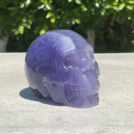 Natural Fluorite Hand Carved Skull - 1.66 lbs (3.5 x 2.5 x 3 inches) - Magick Magick.com