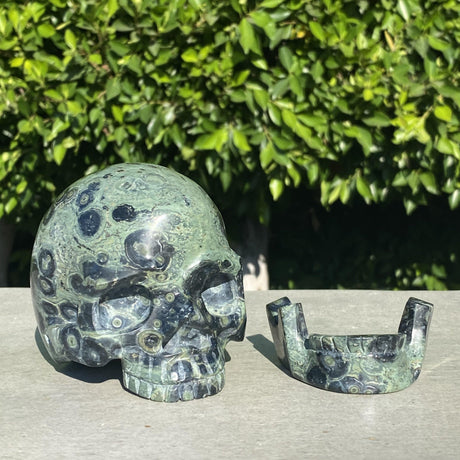 Natural Kambaba Jasper Hand Carved Skull with Detachable Jaw - 2.46 lbs (4.5 x 3.5 x 4 inch) - Magick Magick.com