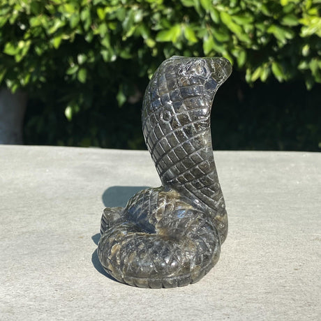 Natural Labradorite Hand Carved Cobra Snake - .66 lbs (3 x 3 x 4 inch) - Magick Magick.com