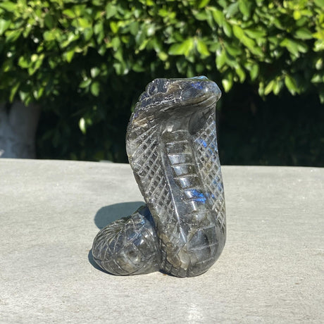Natural Labradorite Hand Carved Cobra Snake - .66 lbs (3 x 3 x 4 inch) - Magick Magick.com