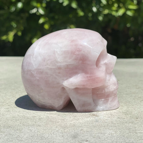 Natural Rose Quartz Hand Carved Skull - 1.24 lbs (3.5 x 2.5 x 3 inches) - Magick Magick.com