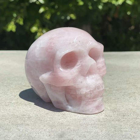Natural Rose Quartz Hand Carved Skull - 1.24 lbs (3.5 x 2.5 x 3 inches) - Magick Magick.com