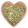 Olive Leaf Whole 1 oz (Olea europaea) - Magick Magick.com