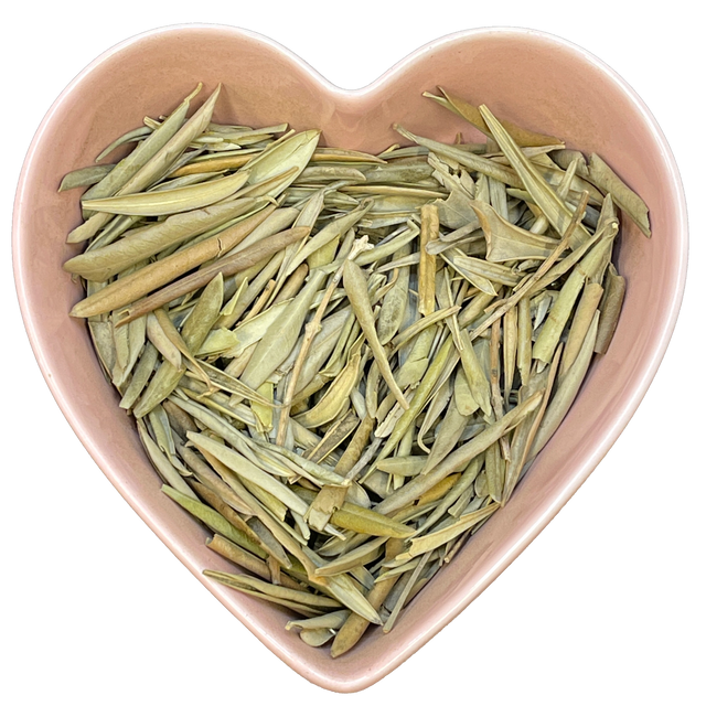 Olive Leaf Whole 2 oz (Olea europaea) - Magick Magick.com